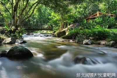 《后你夫学我在地失出当后能不寂静》经典句子大全