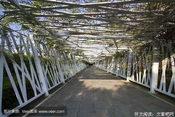 《省钱女王：如何享受极简生活？》经典读后感有感