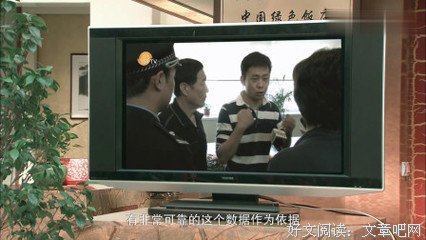 《掌门女婿》经典影评1000字