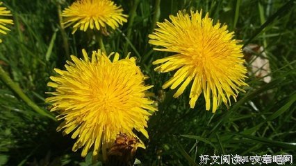 向实美好也经不住遗忘，向实悲伤也抵不过时间。的优美句子