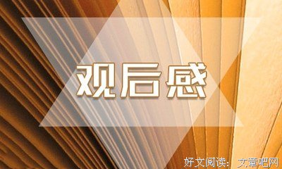 《摄影师眼中的伊拉克战争》观后感100字