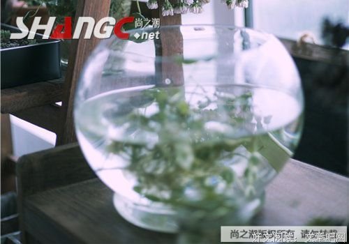 关于流溆的句子