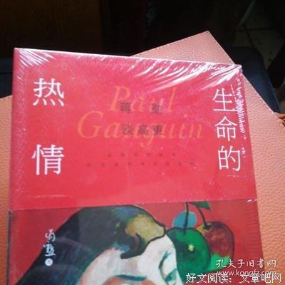 蒋勋谈高更：生命的热情读后感1000字