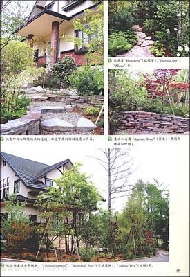 DK园艺新手百科的读后感大全