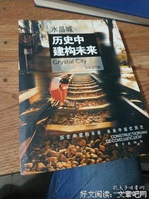 《水晶城-历史中建构未来》读后感精选