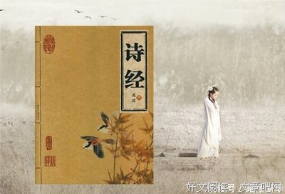 怎样读古书经典读后感有感