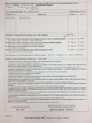 《寻迹狮城：新加坡的历史与现实》读后感精选