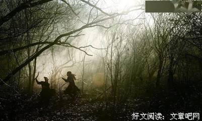 特写：阿巴斯和他的电影读后感1000字