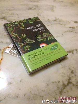 最全的《与绝迹中可鸟的短暂邂逅》小说句子大全