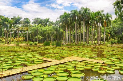 初夏微光经典名句