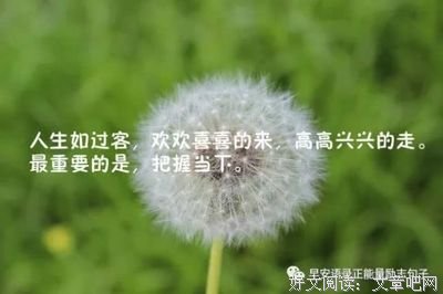 无优美的句子