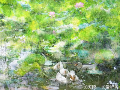 我自是年少，韶华倾负优美的句子