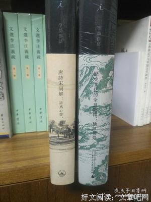 《唐诗宋词解：诗为心声，词乃情物》经典读后感有感