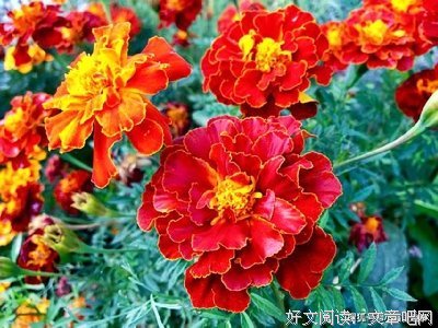 有悟经典的句子