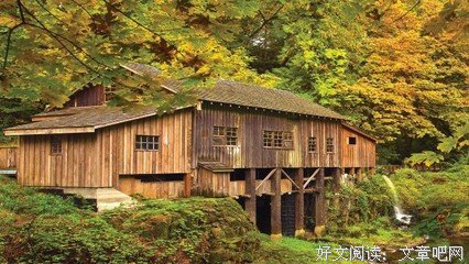 暗殇的句子
