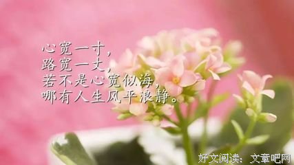 最新的《小碎步也可以光芒万丈》经典语录