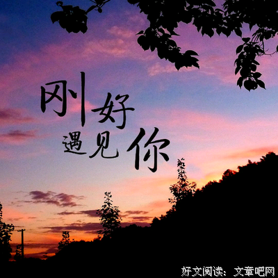 关于偶遇到的句子