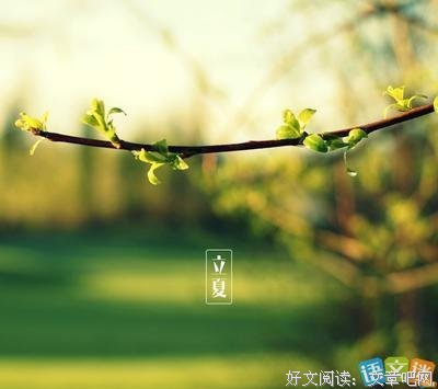 个人喜爱的优美句子
