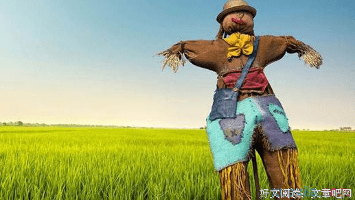 默认优美的句子