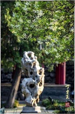 有关流水无情的句子