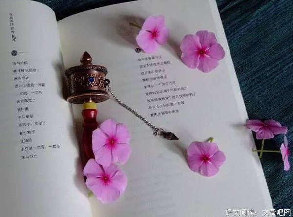 纯纯的句子