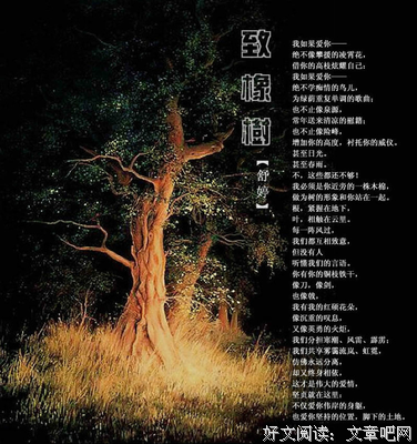 青春•朦胧名句欣赏