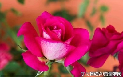 自我激勵的优美句子