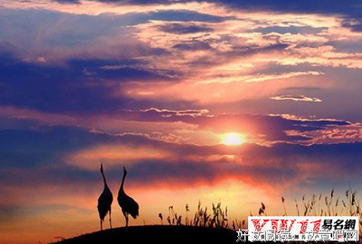 最经典的《随想诗歌》经典句子大全