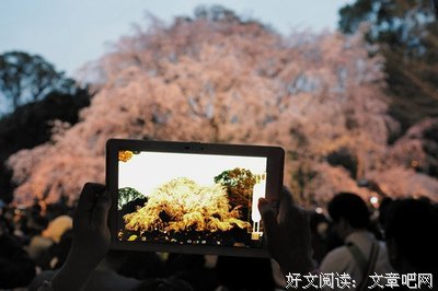 最经典的《快穿颜者荣耀：英雄，你躺好！》小说句子