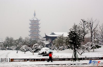 最新的《雪落红梅》经典的句子大全