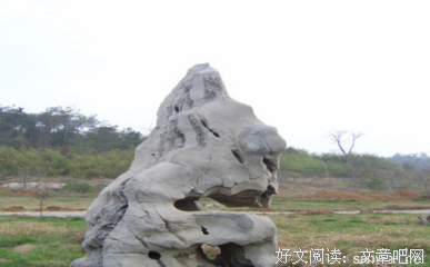 原本贾平凹·长篇小说系列读后感锦集