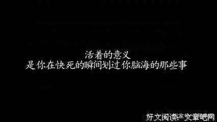 《吊兰折芳，寄情杏坛》经典语录