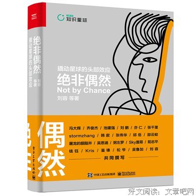 《绝非偶然：撬动星球的头部效应(博文视点出品)》读后感锦集