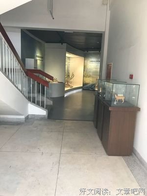 《南与北》的观后感大全
