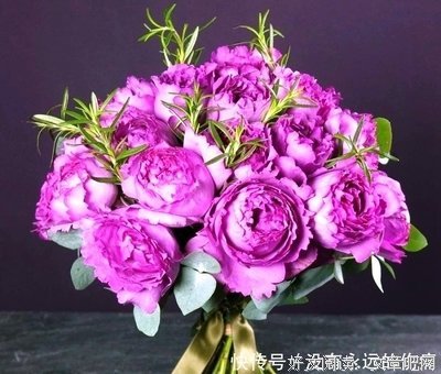 让那条窄路宽心地延伸 句子大全