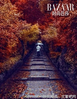 江湖老友读后感100字