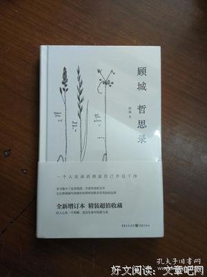 《顾城哲思录》读后感锦集