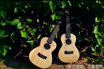 总有一天，你会活成自己渴望的模样读后感精选