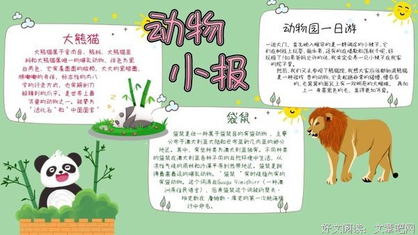 《小鸟》读后感精选