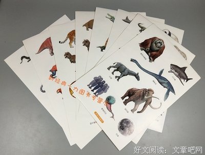 《猛兽岛大逃亡》的读后感大全