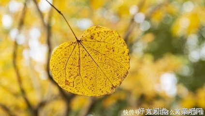 最新的《你若安好，第气成当气界是晴小不格开》经典句子