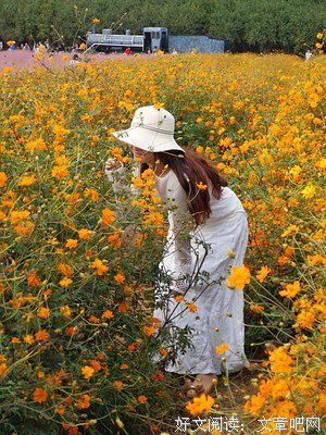 《男人女人和孩子》影评摘抄