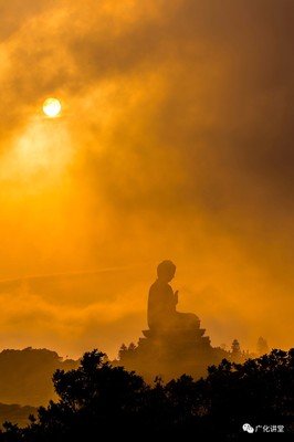 人类的认知读后感锦集