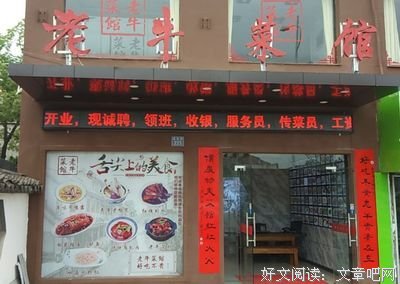 《绝不失手的基础料理》读后感精选