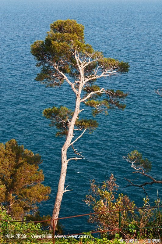 航海少年团4·大海里的流浪草原的读后感大全