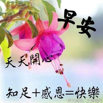 纳兰飘雪的优美句子