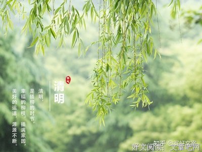 思我所思优美的句子