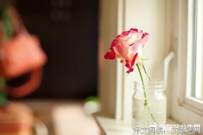 最新的《抖落时间的羽毛》语录摘抄大全