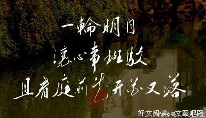 雨是一生错过，雨是悲欢离合句子大全
