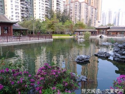 最新的《一元新娘vs全球首席》好段摘抄